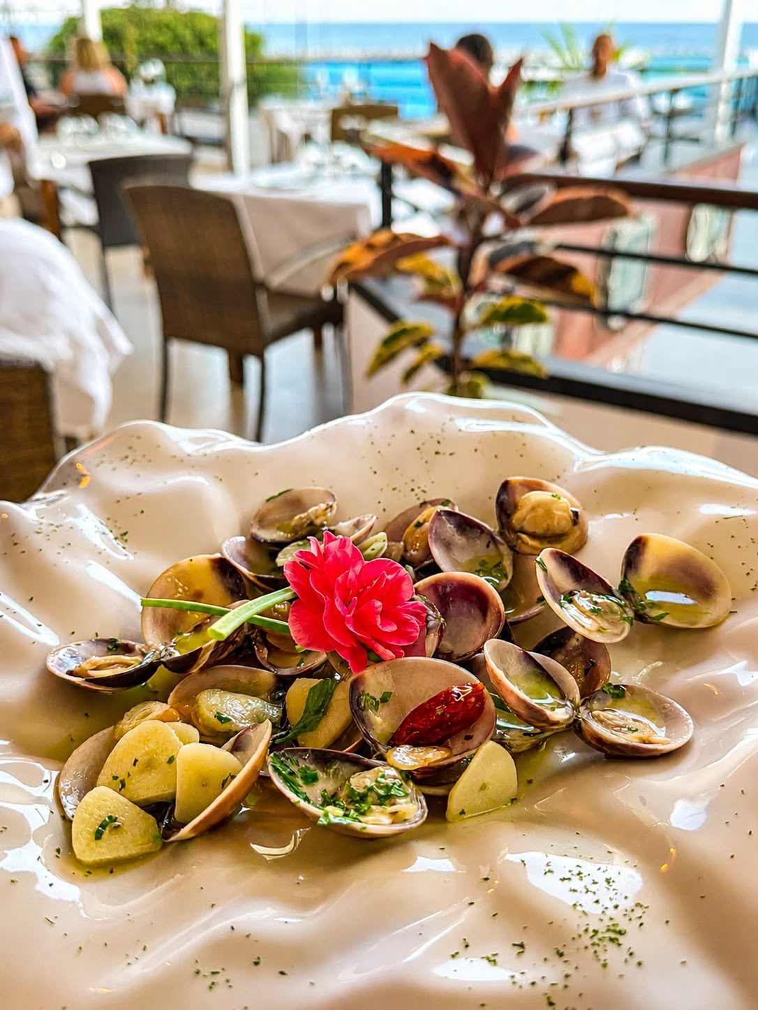 Almejas al vino blanco — Bellagio Lanzarote